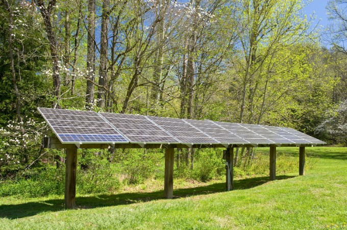 Локальні екосистеми та інтеграція сонячних панелей